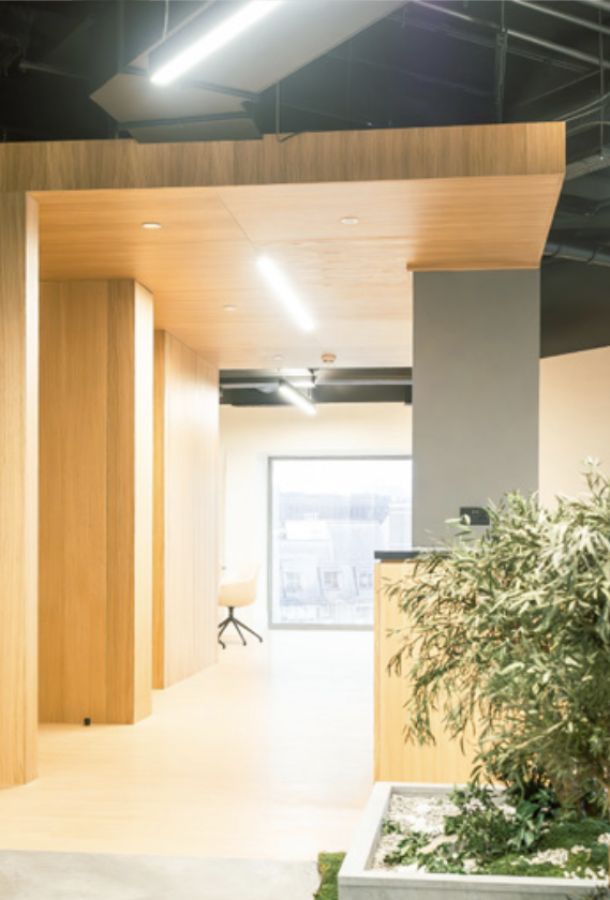 Dexson Contracts Service Fit-Outs